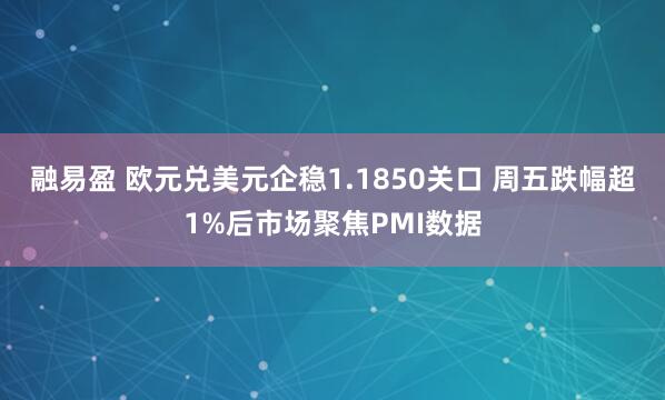 融易盈 欧元兑美元企稳1.1850关口 周五跌幅超1%后市场聚焦PMI数据