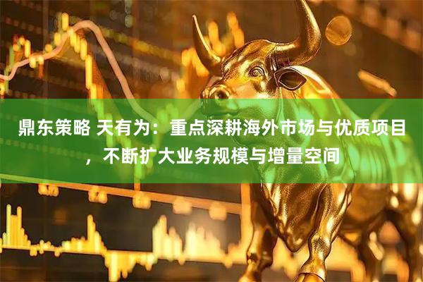 鼎东策略 天有为：重点深耕海外市场与优质项目，不断扩大业务规模与增量空间