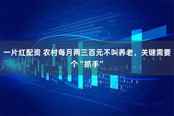 一片红配资 农村每月两三百元不叫养老，关键需要个“抓手”