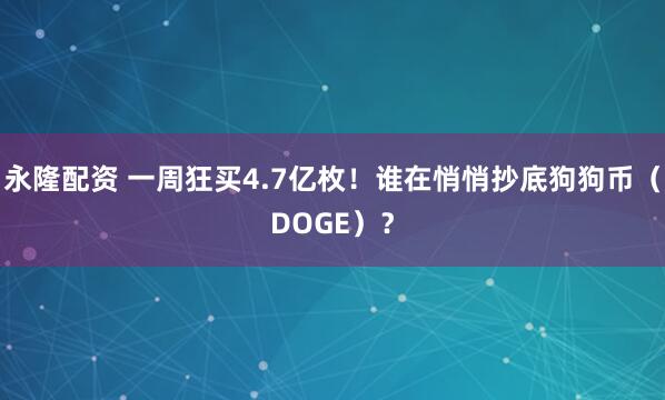 永隆配资 一周狂买4.7亿枚！谁在悄悄抄底狗狗币（DOGE）？