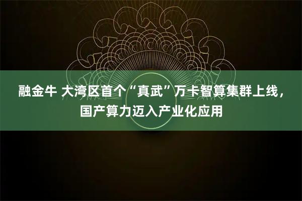 融金牛 大湾区首个“真武”万卡智算集群上线，国产算力迈入产业化应用