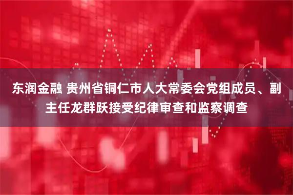 东润金融 贵州省铜仁市人大常委会党组成员、副主任龙群跃接受纪律审查和监察调查
