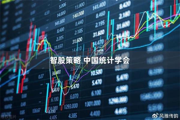 智股策略 中国统计学会