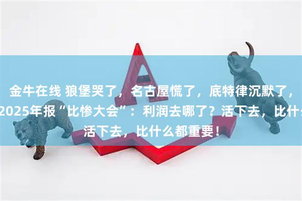 金牛在线 狼堡哭了，名古屋慌了，底特律沉默了，全球车企2025年报“比惨大会”：利润去哪了？活下去，比什么都重要！