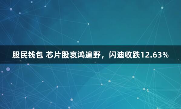股民钱包 芯片股哀鸿遍野，闪迪收跌12.63%