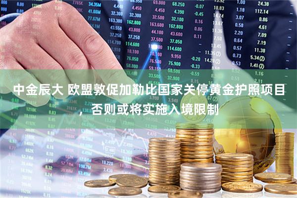 中金辰大 欧盟敦促加勒比国家关停黄金护照项目，否则或将实施入境限制