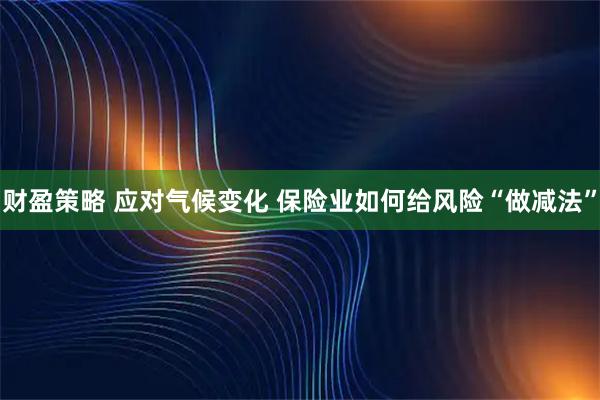 财盈策略 应对气候变化 保险业如何给风险“做减法”